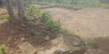 LPHLH Soroti Proyek Kolam Wisata Desa Sambueja, Diduga Mubazir dan Langgar Aturan Dana Desa